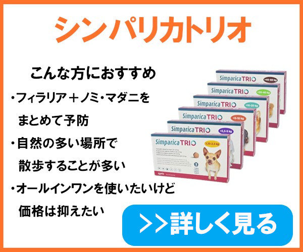 シンパリカトリオ