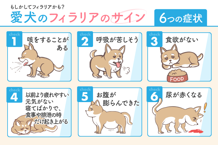 犬のフィラリアの主な症状