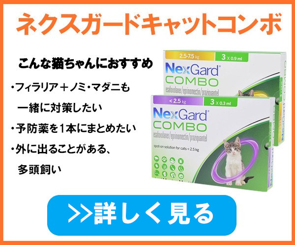 ネクスガードキャットコンボ