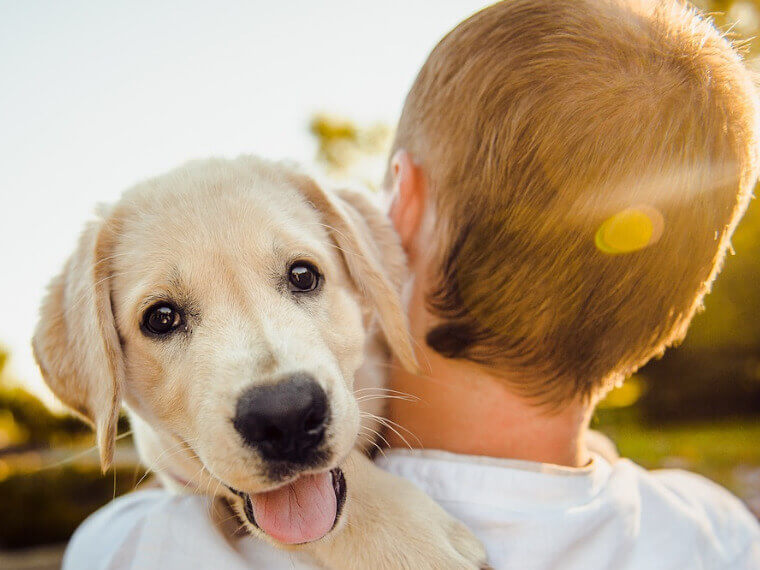 外耳炎に関するよくある疑問