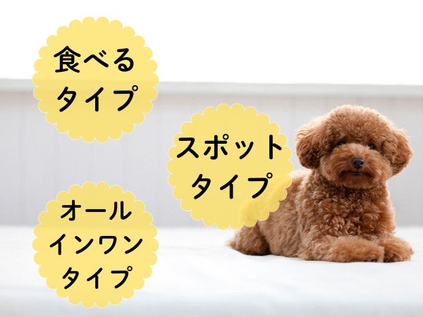 マダニ予防薬の選び方