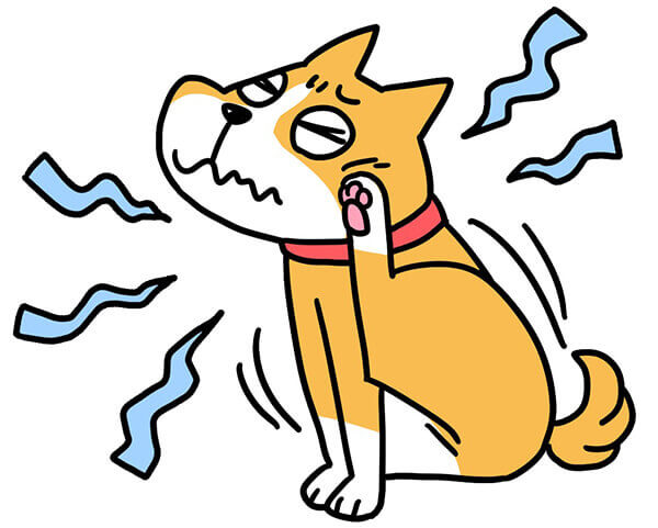 マラセチア皮膚炎の症状