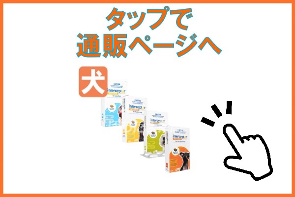 インターセプタースペクトラムチュアブル