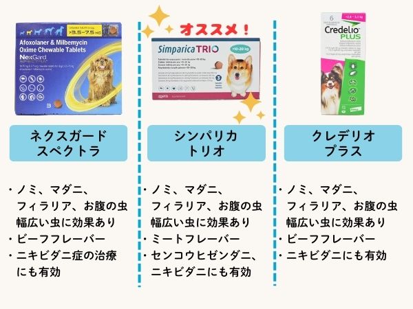 スポットタイプが選ばれる理由