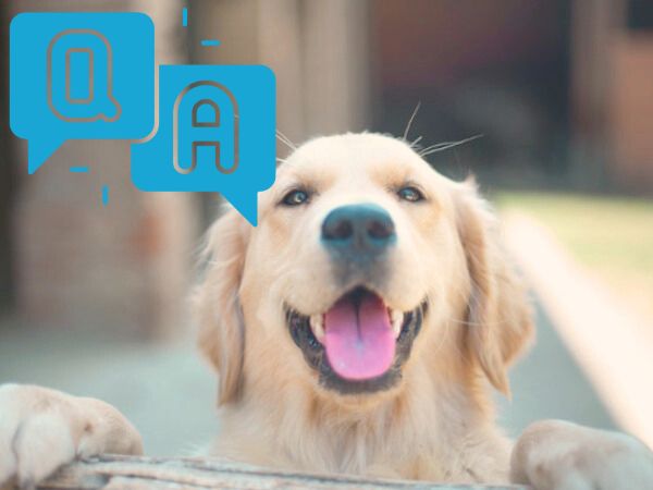 スポットタイプが選ばれる理由