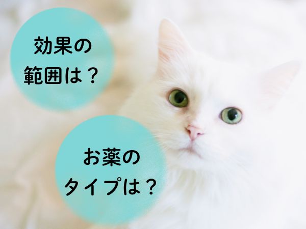 ノミダニ予防薬の選び方