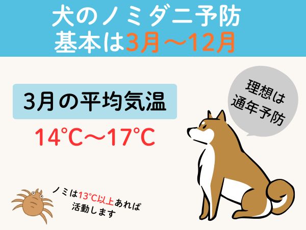 ノミダニ予防は通年投与が安心