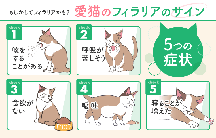 猫ちゃんもフィラリア予防が必要!