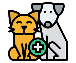 Asle pharmaceuticals