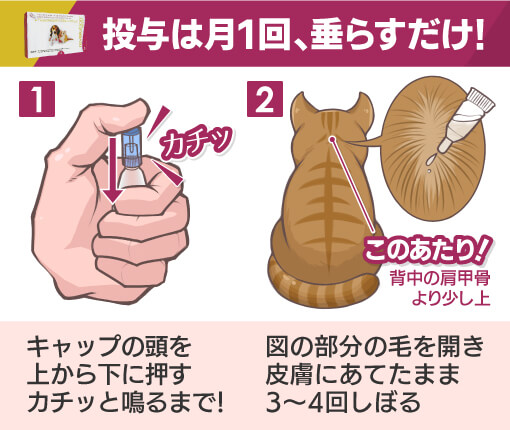 “レボリューションの使い方”