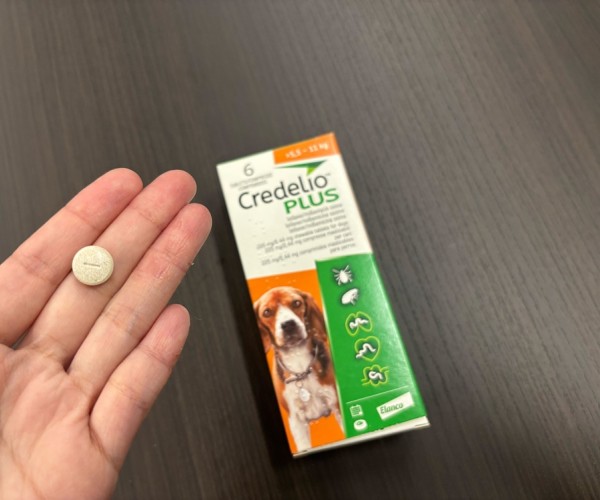 クレデリオプラス