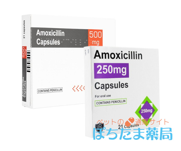 アモキシシリン（アモキクリア）