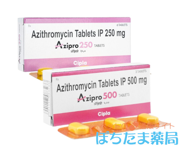 ジスロマックジェネリック【犬猫用】