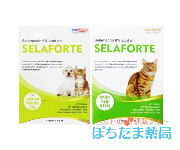 セラフォーテ【猫用】