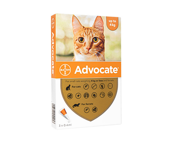 アドボケート【猫用】