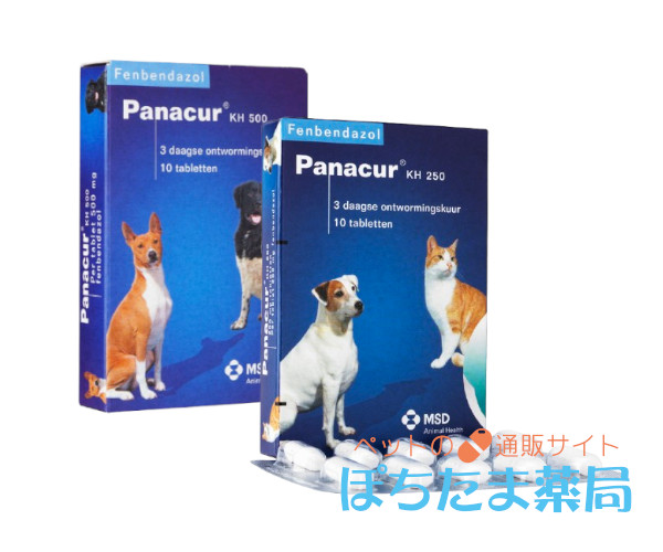 パナクールKH&nbsp;250mg&nbsp;10&nbsp;錠