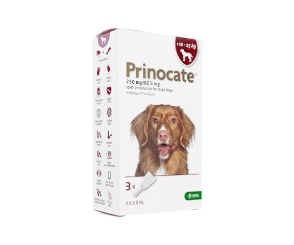 プリノケート(アドボケートジェネリック)【犬用】