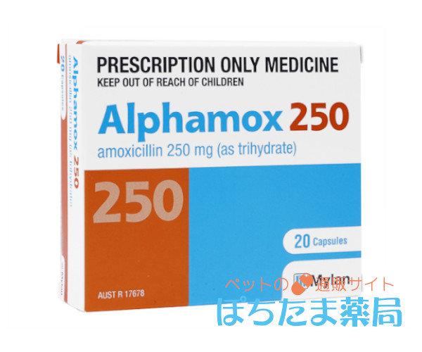 パセトシン錠ジェネリック