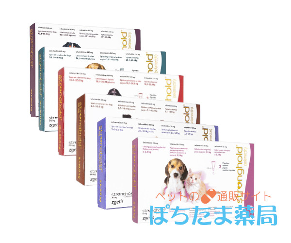 ストロングホールド【犬用】