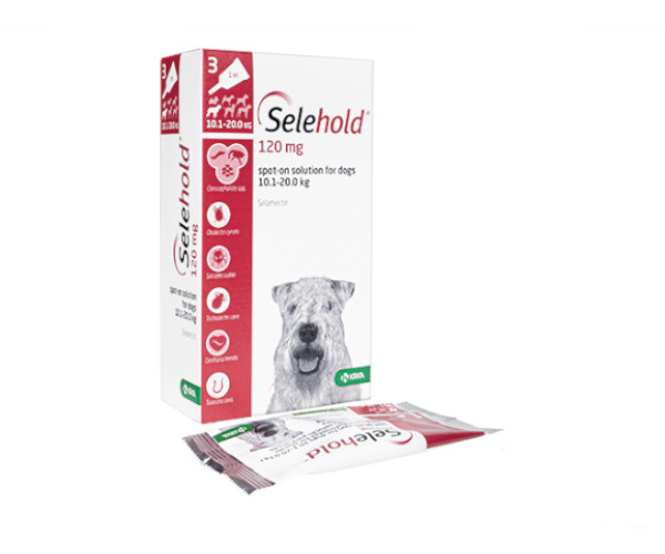 セレホールド【犬用】