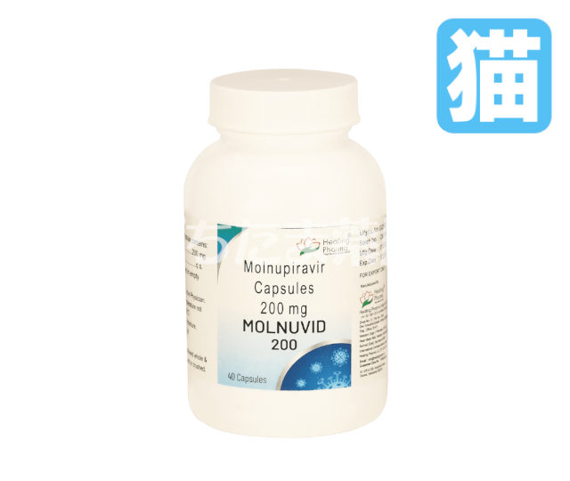 モルヌピラビル 200mg40錠