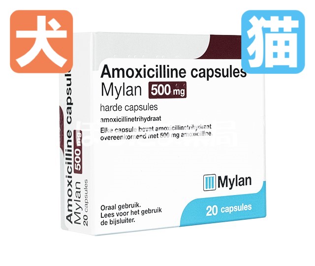 アモキシシリンカプセル（アモキクリア）