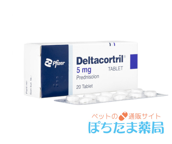 デルタコートリル（プレドニゾロン）
