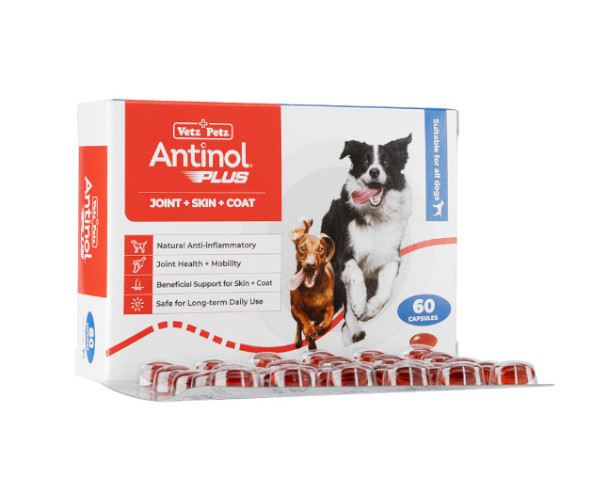 アンチノールプラス