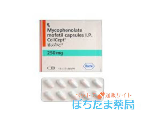セルセプト（ミコフェノール酸モフェチル）