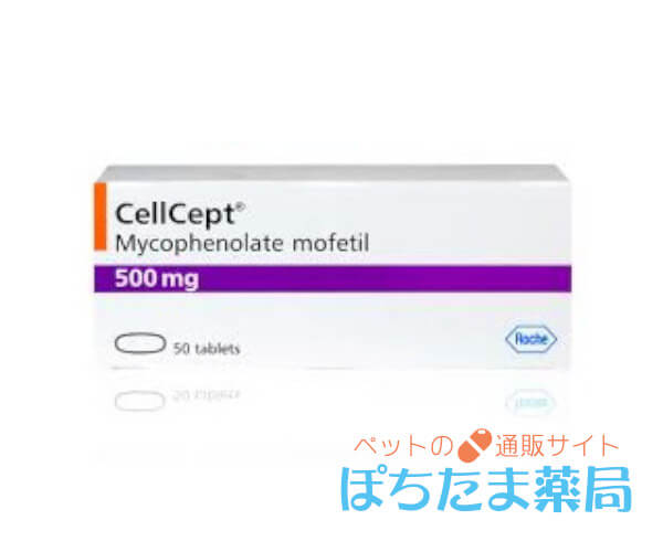セルセプト(ミコフェノール酸モフェチル)