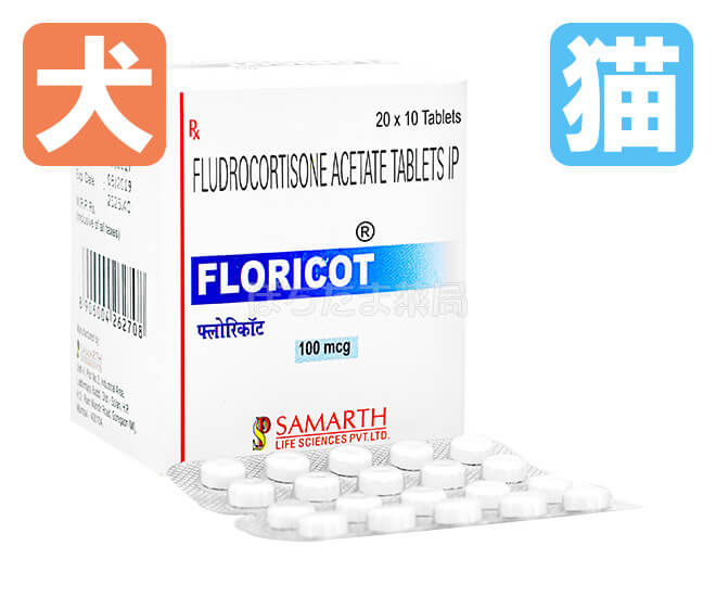 【送料無料】フロリコット