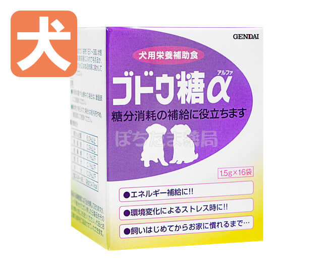 栄養補助食・ブドウ糖α【犬用】