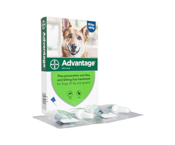 アドバンテージ・スポット【犬用】