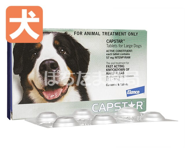 キャプスター錠【犬用】