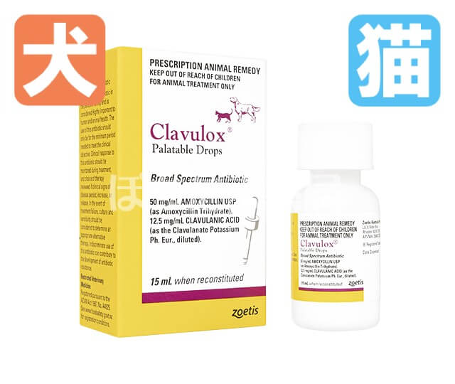 クラバモックス（クラブロックス）