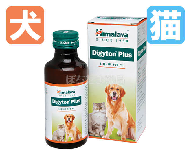 デジトンプラス