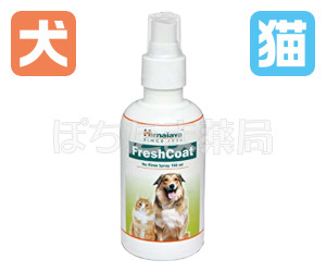 フレッシュコート