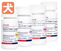 レボチロキシン（サイロタブケイナイン）【犬用】